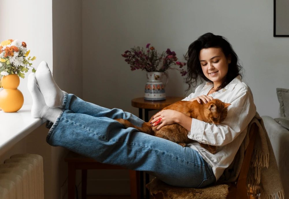 best home camera for pets