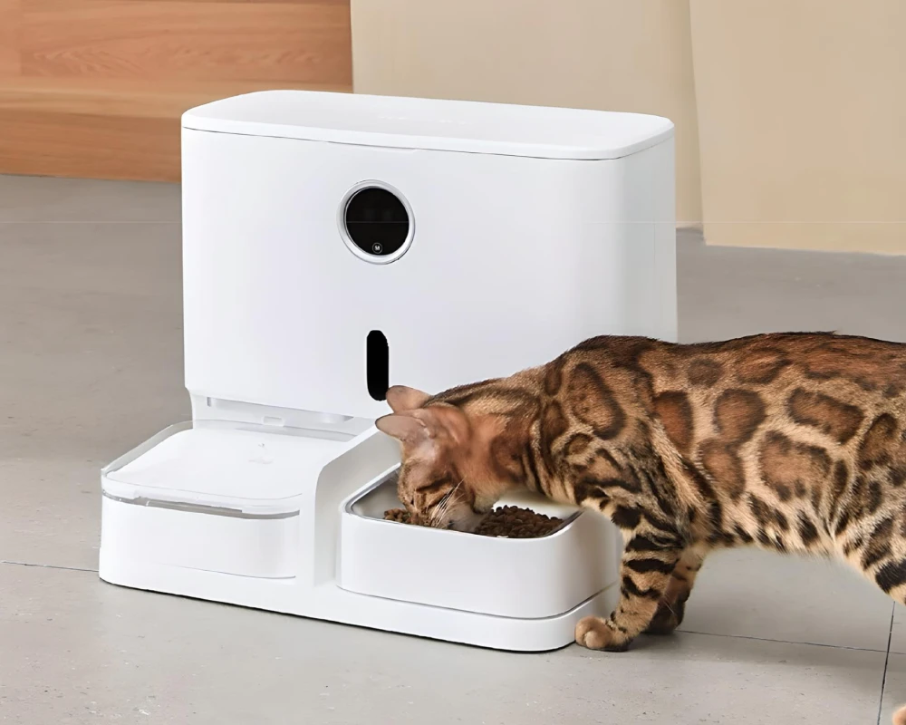 automatic pet feeder bowl