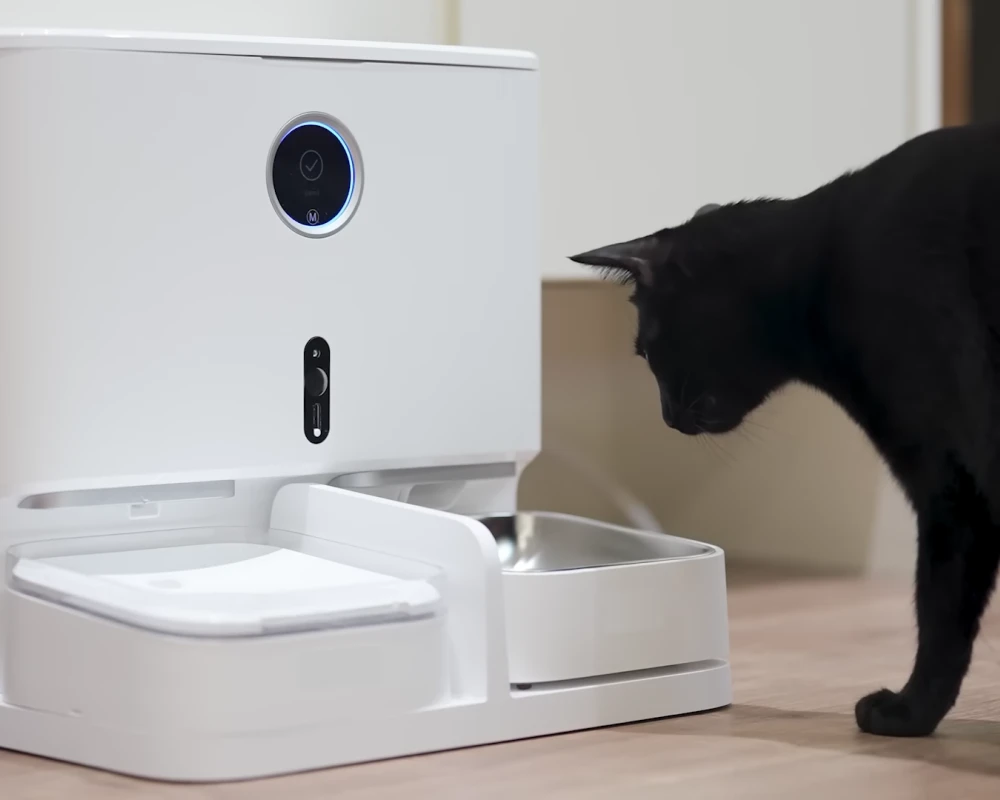 best automatic pet feeder with camera